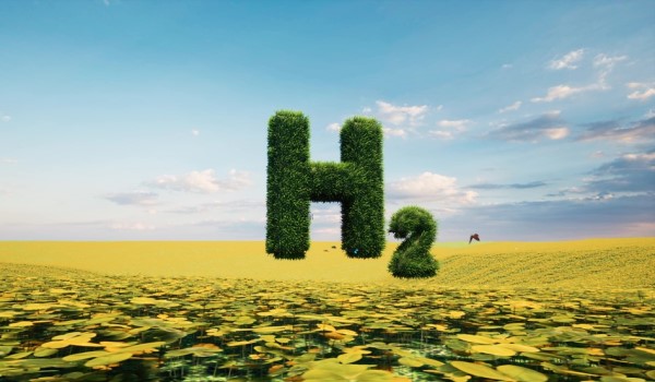 Symbolbild: Schwebendes, begrüntes Wasserstoff-Molekülsymbol H2 über gelber Blumenwiese.