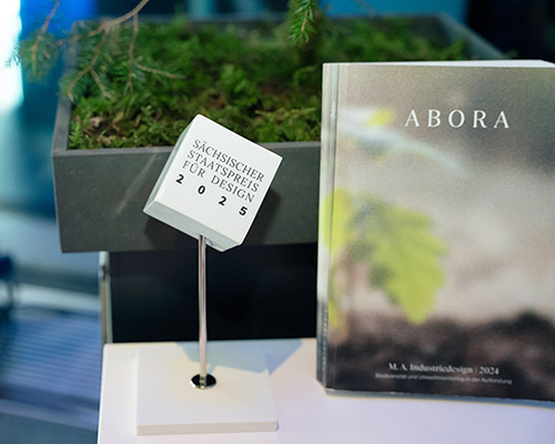 Ein wei&szlig;er W&uuml;rfel steht neben einem BUch und einem Pflanztopf mit einem Nadelbaum